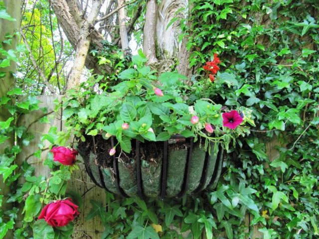 Teach Na Coiribe B&B Castlegar Dış mekan fotoğraf